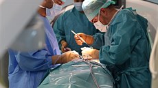 Ve světě má prestižní certifikaci pro operace páteře jen třináct nemocnic....