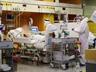 Pra�sk� Nemocnice Na Bulovce znovu zprovoznila jednotku intenzivn� p��e pro...
