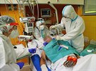 Praská Nemocnice Na Bulovce znovu zprovoznila jednotku intenzivní pée pro...