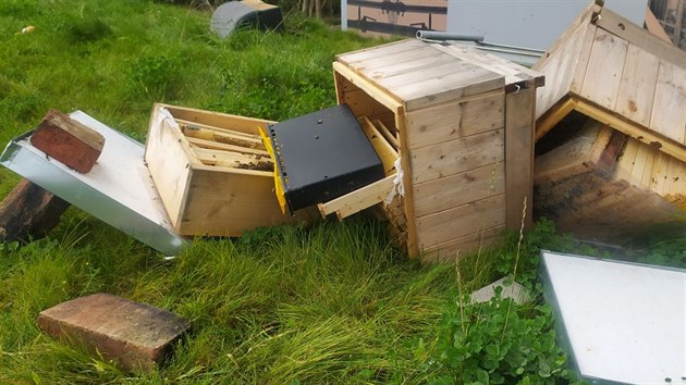Neznámý vandal v centru Brna zničil úly, obě včelstva v nich žijící uhynula.