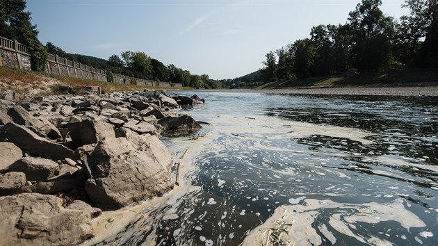 Úhyn ryb na řece Bečva. (21. září 2020)