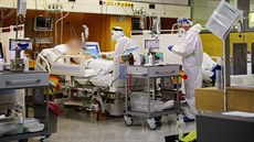 Pražská Nemocnice Na Bulovce znovu zprovoznila jednotku intenzivní péče pro...