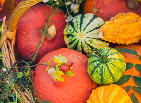 Typickou podzimní zeleninu nyní prodávají na kadém triti i v supermarketech....