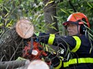 Na sídliti v Ostrav hasii odstraovali spadlý strom na silnici. (4. íjna...