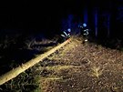 Spadlé stromy ze silnice v noci odklízeli i hasii na Vysoin. (4. íjna 2020)