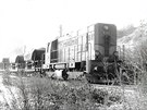 Lokomotiva T448 Kocour s nákladním vlakem v Moin