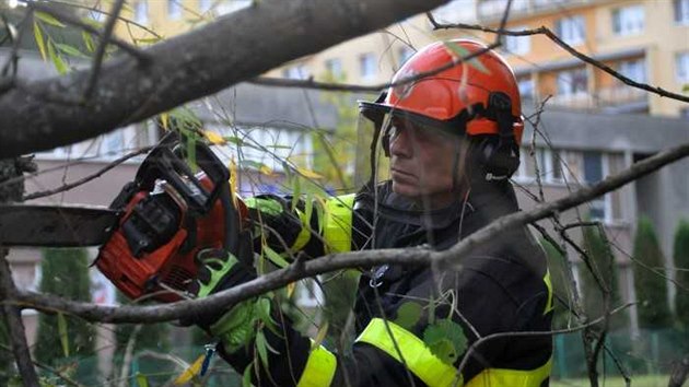 Na sdliti v Ostrav hasii odstraovali spadl strom na silnici. (4. jna 2020)