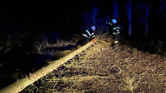 Spadl stromy ze silnice v noci odklzeli i hasii na Vysoin. (4. jna 2020)