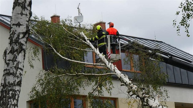Hasiči měli kvůli silnému větru v Olomouckém kraji více než dvě stovky výjezdů, většinu z nich ke spadlým větvím a zlomeným či vyvráceným stromům.
