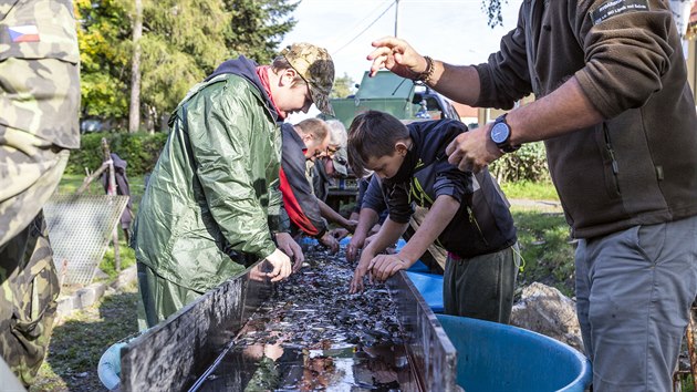 Rybáři se snaží vrátit život do kyanidem zničené Bečvy. Ryby vylovili z chovného rybníku v Hranicích (na snímku), jde o několik tisíc ročních ostroretek (9. 10. 2010)