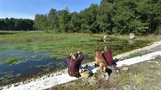 V přírodní rezervaci U Sedmi rybníků nedaleko Vojtanova představili ochranáři...