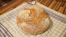 V rodinách se podle odhadu Svazu peka�� a cukrá�� ro�n� upe�e jedno a� dv�...