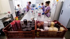 Oddlení klinické mikrobiologie v praské Nemocnici Na Bulovce, kde se testují...