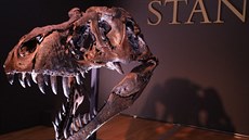 Kostra Tyrannosaura rexe se vydražila v New Yorku v přepočtu za tři čtvrtě...