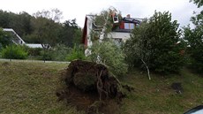Hasiči měli kvůli silnému větru v Olomouckém kraji více než dvě stovky výjezdů,...