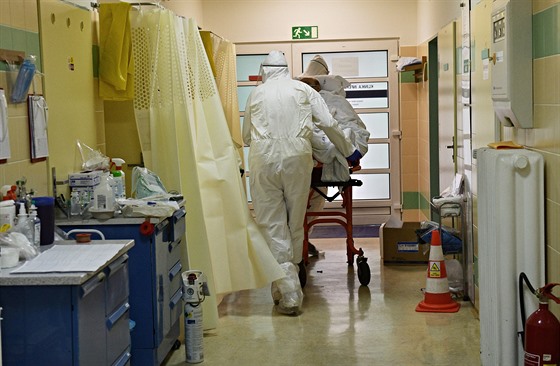 Zdravotníci na Klinice infekních chorob Fakultní nemocnice Brno peují o...