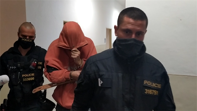 �há� obvin�ný ze zapálení dvou papíren v Novosedlicích a Ko��anech na Teplicku...