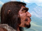 Homo heidelbergensis, podle rekonstrukce pozstatk nalezených v ecké Soluni