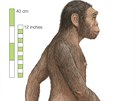 Homo habilis obýval Zemi ped dvma a 1,5 milionem let.