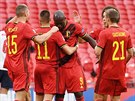 Belgití fotbalisté oslavují vstelený gól v utkání proti Anglii. Trefil se...