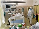 Zdravotnci na Klinice infeknch chorob Fakultn nemocnice Brno peuj o...