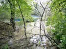Rozvodnn byla i ramena Moravy. Voda zaplavovala lesy.