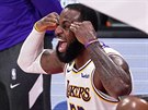 LeBron James slaví vítzství LA Lakers v estém finále NBA.
