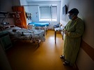Zdravotnci z nemocnice v Uherskm Hraditi bojuj o ivoty pacient s covid-19.