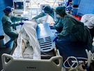 Zdravotnci z nemocnice v Uherskm Hraditi bojuj o ivoty pacient s...