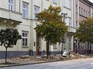 V rannch hodinch se z budovy dkantu Lkask fakulty UK v Plzni ztila...
