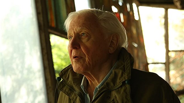 David Attenborough ve sv filmov zpovdi 