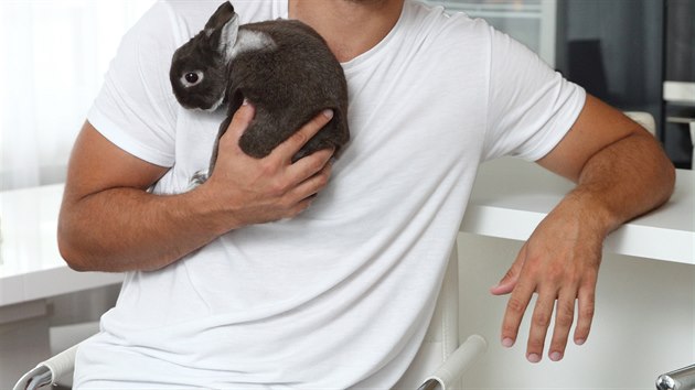 Váženým členem rodiny je také domácí králíček, který má dokonce i svůj profil na Instagramu.