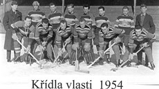 Hokejový tým Kídla vlasti