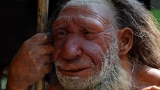 Neandrtálec v podob� muzejní rekonstrukce. Jejich skupiny se s Homo sapiens...
