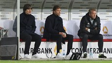 Zaražený Joachim Löw (vlevo) na lavičce německé reprezentace během utkání Ligy...