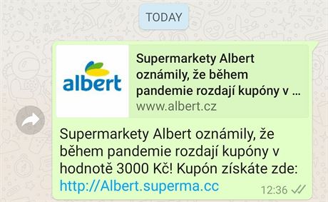 Ukázka Faleného kupónu do prodejny Albert.