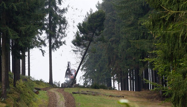 Provozovatel skiareálu na Ještědu plánuje další, ještě mohutnější kácení