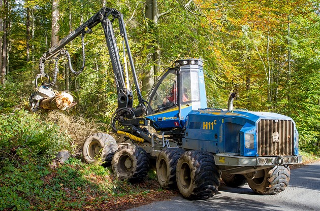 Jak funguje gilotina stromů. Harvestory po kůrovci pomáhají i při hašení