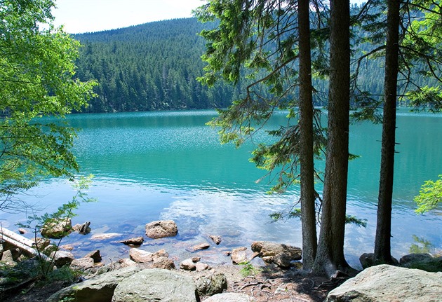 Skvělé výlety k vodním hladinám v Česku. Atmosféra těchto jezer vás okouzlí