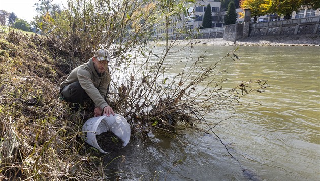 Ministři slíbili další dotace na zarybnění Bečvy i monitoring znečišťovatelů