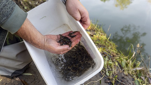 Stanice bude dál kontrolovat vodu v Bečvě, odradí tak možné znečišťovatele