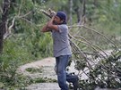 Pracovník uklízí vtv strom, spadlé bhem ádní hurikánu Zeta v Mexiku. (27....
