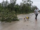 Mu obchází stromy spadlé bhem ádní hurikánu Zeta v Mexiku. (27. íjna 2020)
