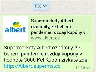 Ukázka Falešného kupónu do prodejny Albert.