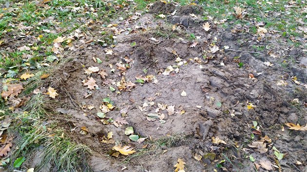 Čertův kámen zmizel ze zámeckého parku loni v říjnu. 