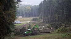 Lesy na Jetdu v íjnu 2020 uvolnily místo sjezdovce Nová Skalka.