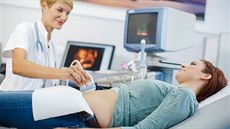 �V �esku �asto o osudu nenarozených d�tí rozhodují pouze gynekologové, kte�í o...