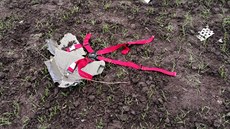 Pád ultralightu u Ol�an u Prost�jova nep�e�il jeho pilot cizí národnosti....