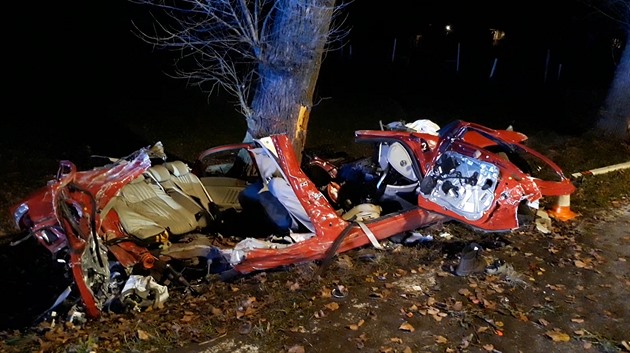 Řidič vyjel ze silnice, náraz do stromu u Nových Hradů nepřežili tři lidé