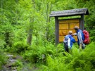 Bavorský les nabízí adu moností lesní turistiky.